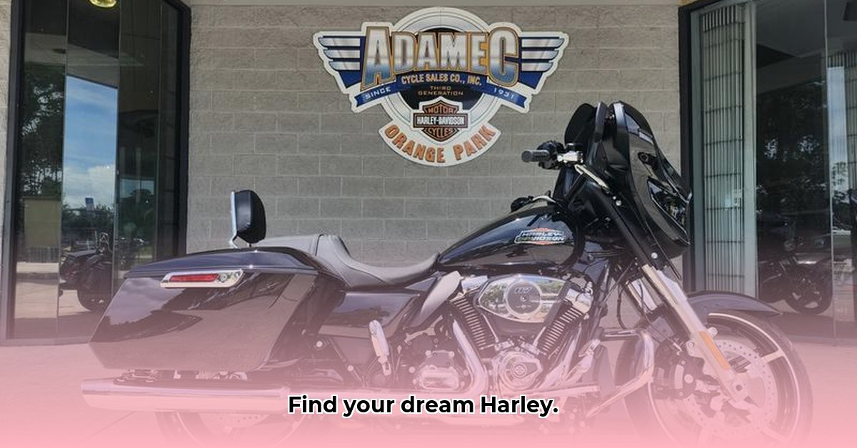 adamec-harley-davidson-wells-road